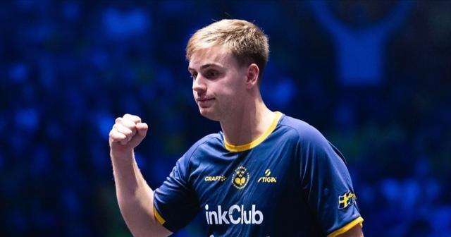 msn, 德说, 前的预言 msn, 德说, 前的预言